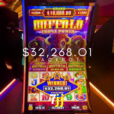Live Casino 7jj